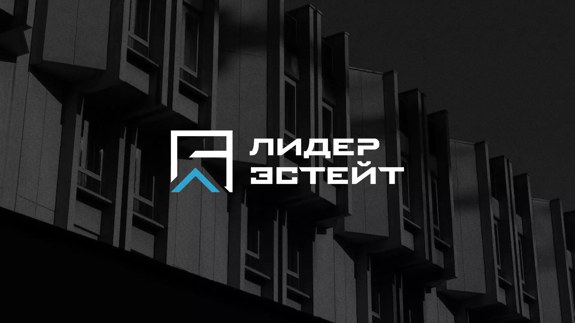 Разработка логотипа агентства недвижимости «Лидер Эстейт» в Димитровграде